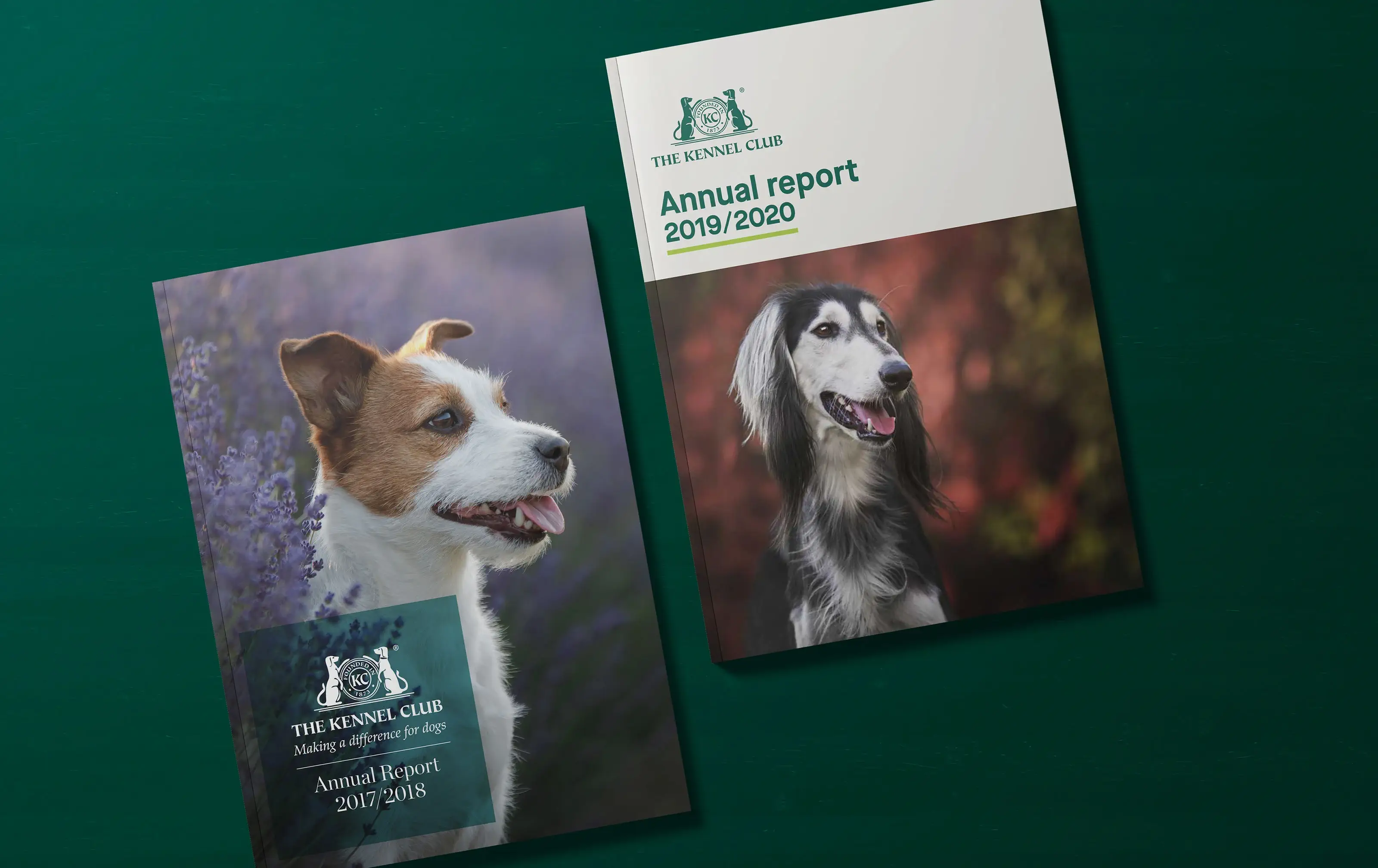 23-Red-Giant-Slider-The-Kennel-Club-Brochure-Mockup